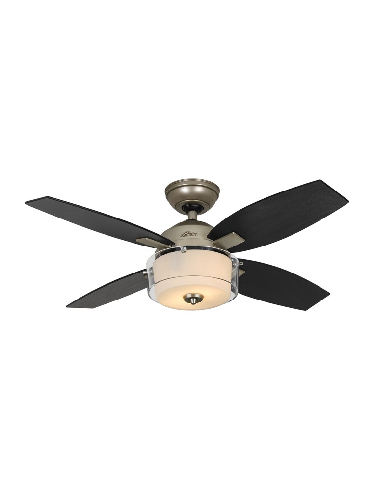 Central Park 107, ventilator met licht, Hunter