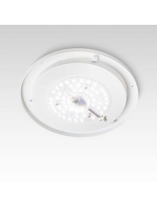 LEVEL PL D40, Plafoniera, Ideal Lux