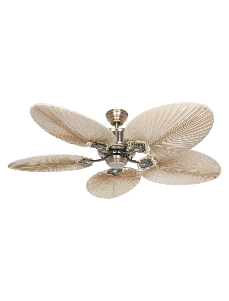 CARIBBEAN DREAM ECO II, Ventilatore senza Luce, Casafan