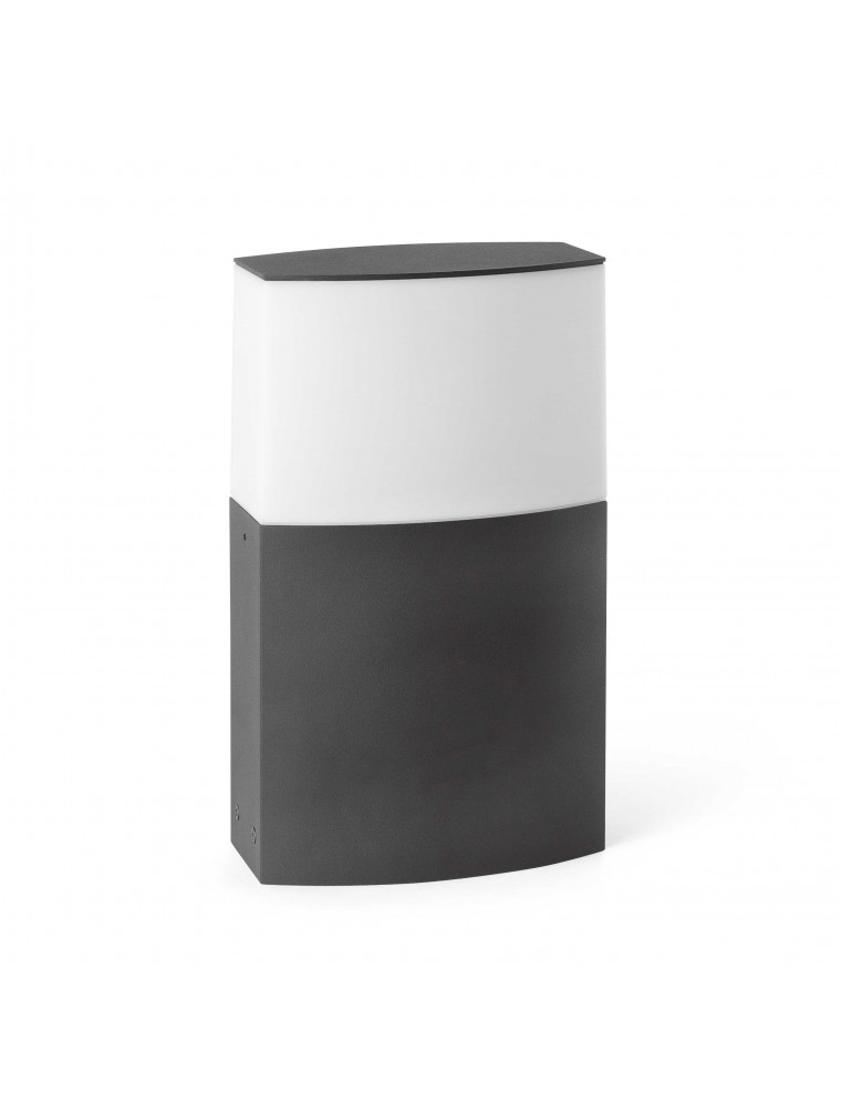 Datna Piccola, Paletto, Faro Barcelona