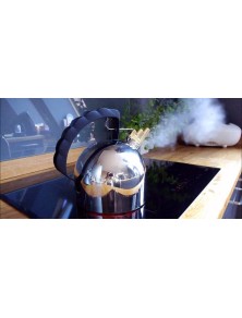 9091 FM, Bollitore, Alessi